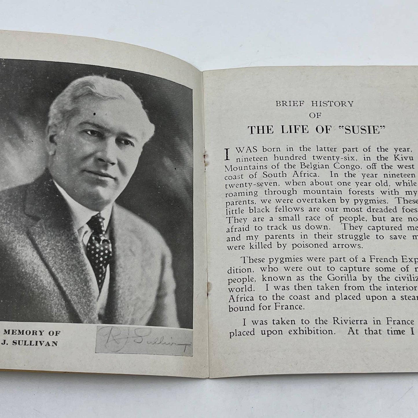 1937 Brief History of Susie Gorilla Cincinnati Zoo Book & Photo Card AC2