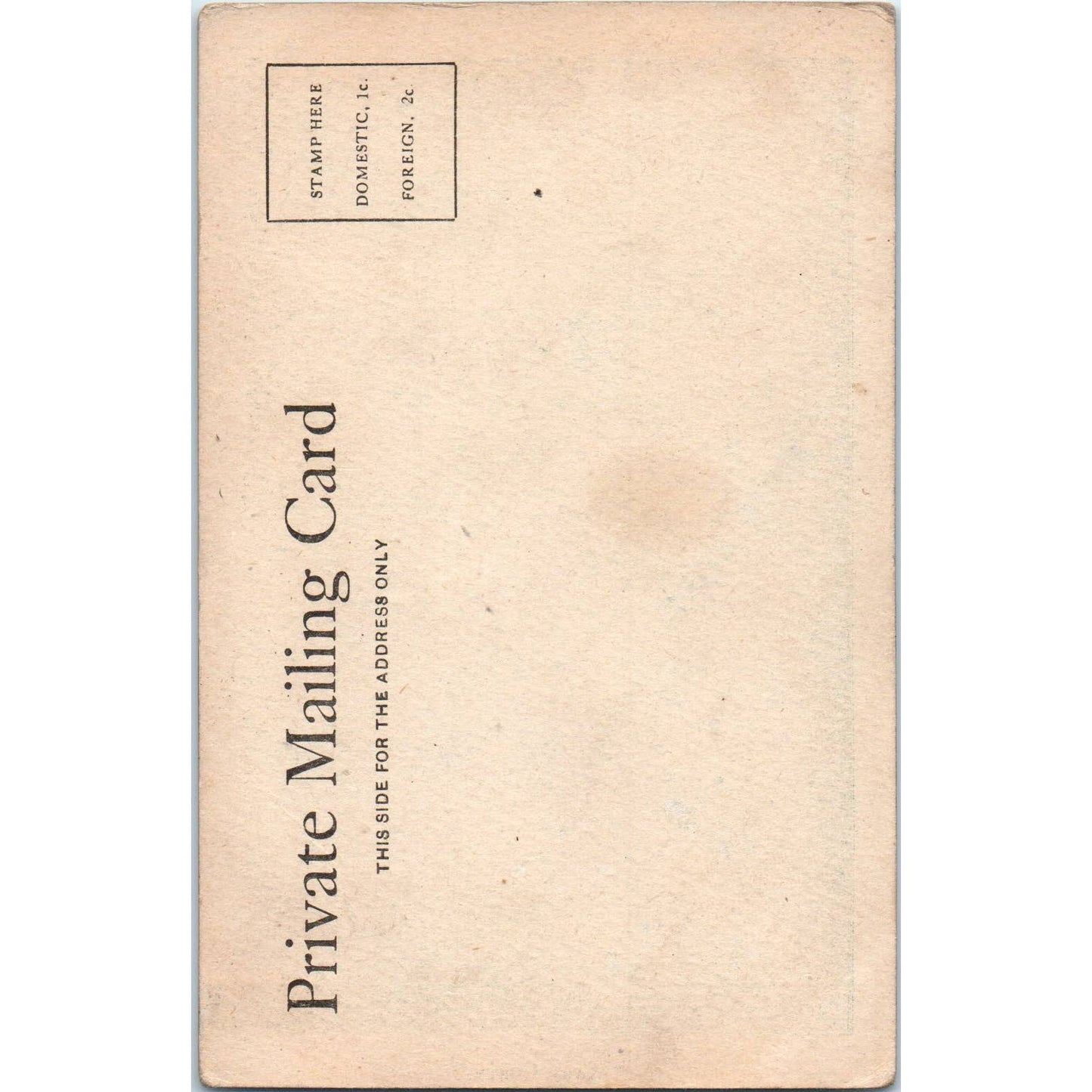 Antique Postcard RPPC Victorian Photo Mary Corty SE8