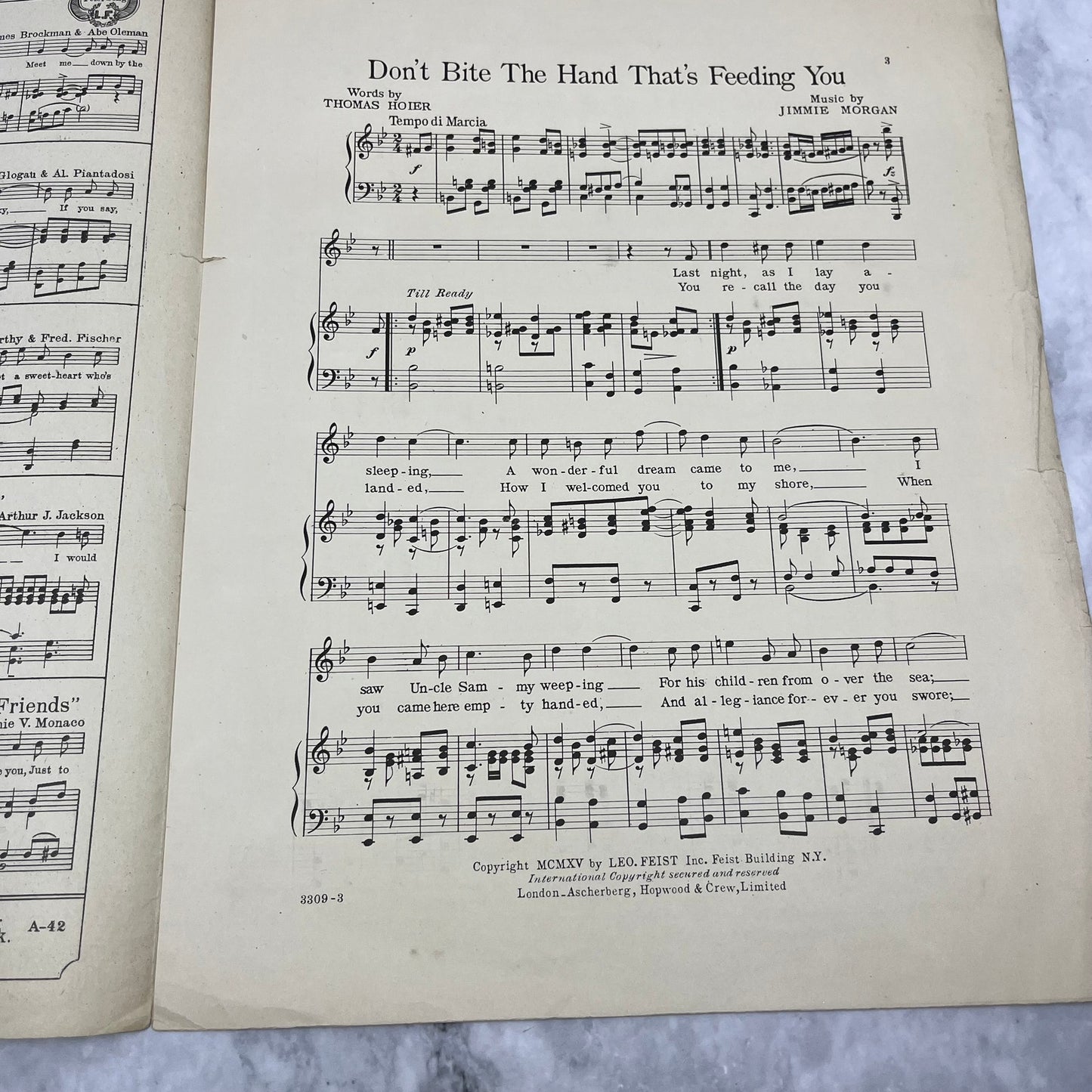 Don't Bite The Hand That's Feeding You Sheet Music 1915 Ed Morton Vintage V41-1