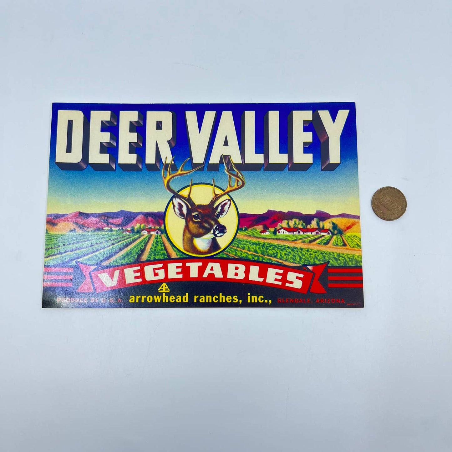 Original 1950 Deer Valley Arrowhead Ranches Glendale Arizona Buck Stag Label FL3