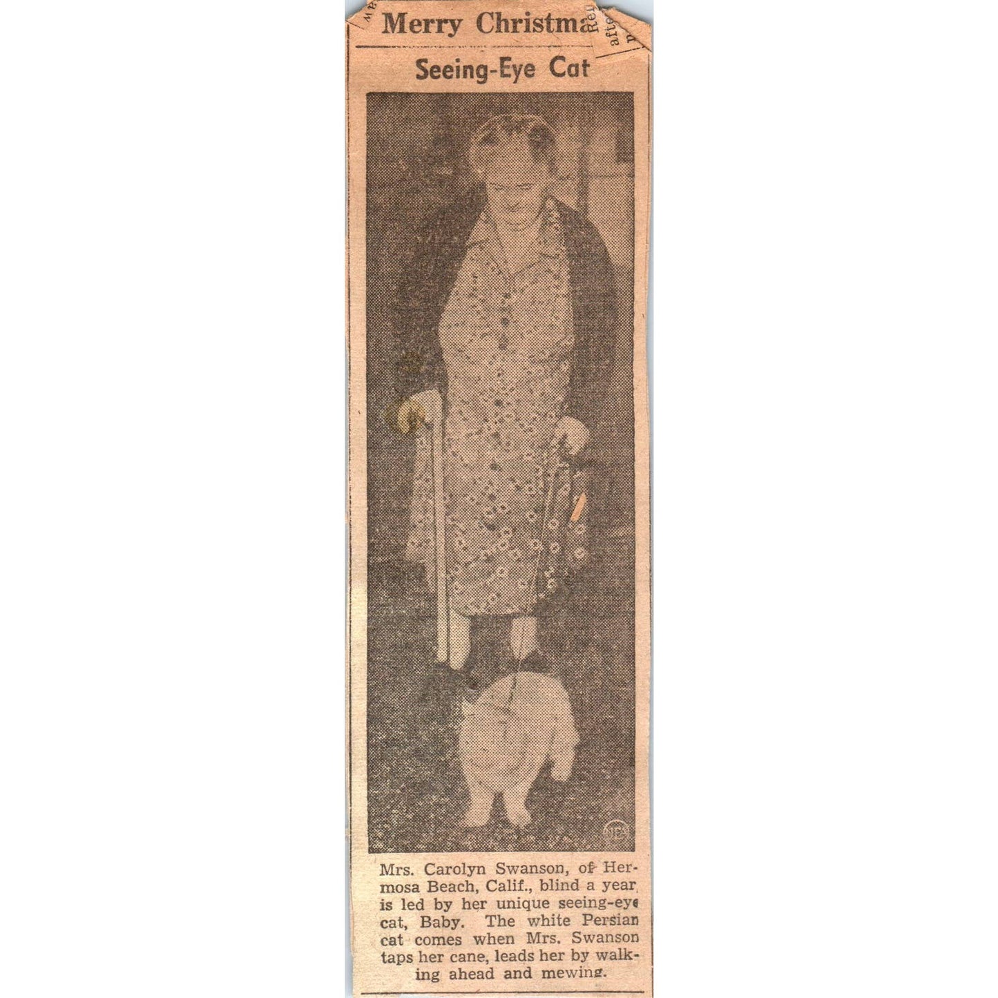 1960s Clipped Photo Seeing Eye Cat - Carolyn Swanson Hermosa Beach CA SF2