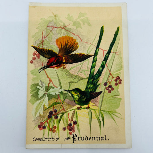 1880s Victorian Trade Card The Prudential Insurance Newark Hummingbirds AH9-M8