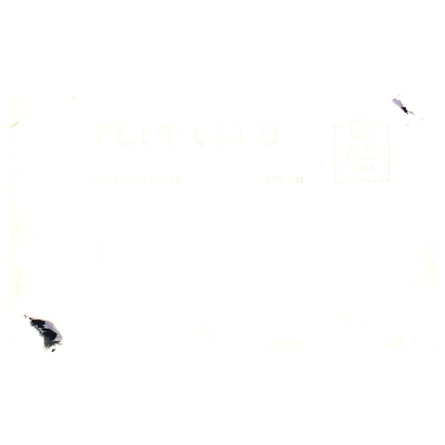 WWI Battleship USS San Francisco - Original Postcard RPPC TJ8-4