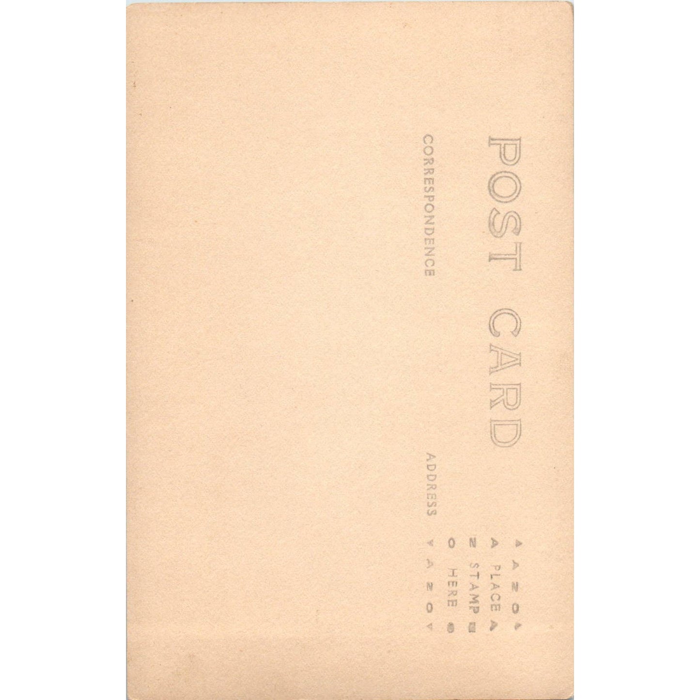 Antique Postcard Wildlife in Rainier National Park Washington TD9