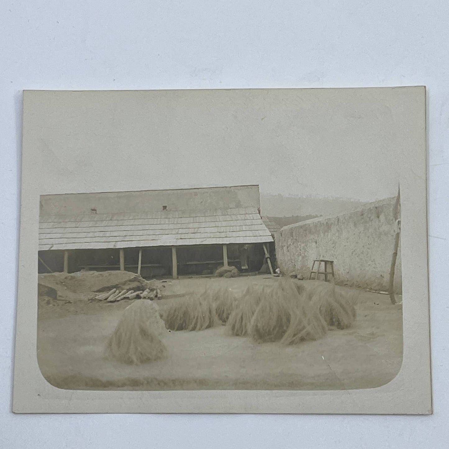 1903 Original Sepia Photograph Drying Zacation Las Vigas Veracruz Mexico AC7