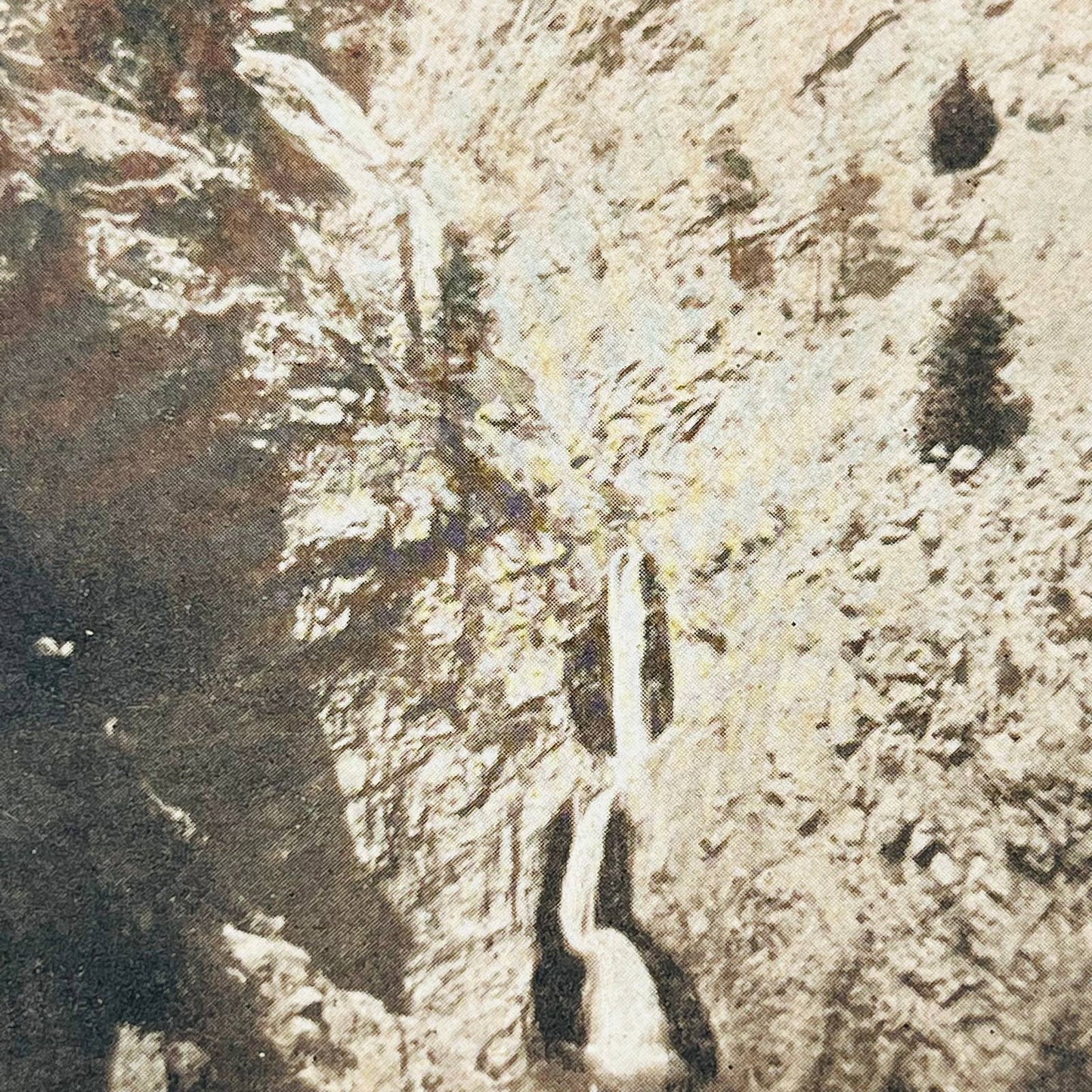 c1900 Stereoview Card Seven Falls Cheyenne Canyon Colorado