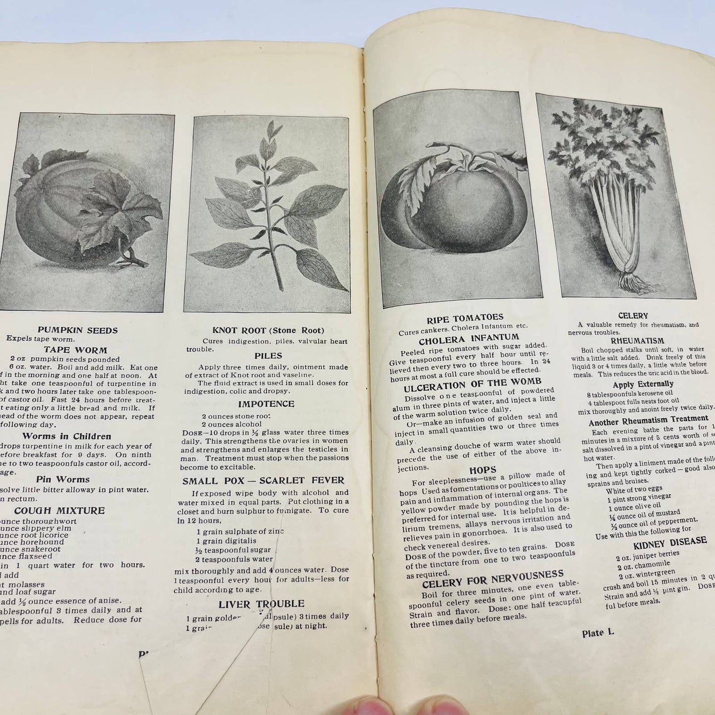 1907 The Practical Home Physician Illustrated Home Remedies Book TA8