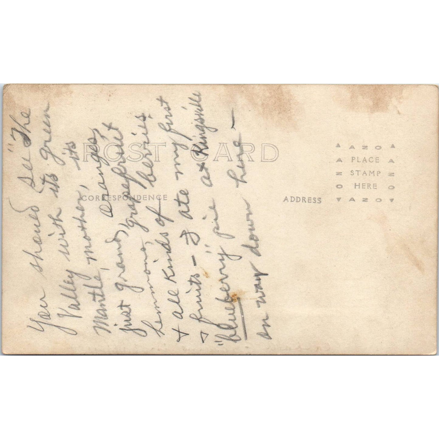 Antique Postcard RPPC Kingsville Texas Cabbage Farm SE8