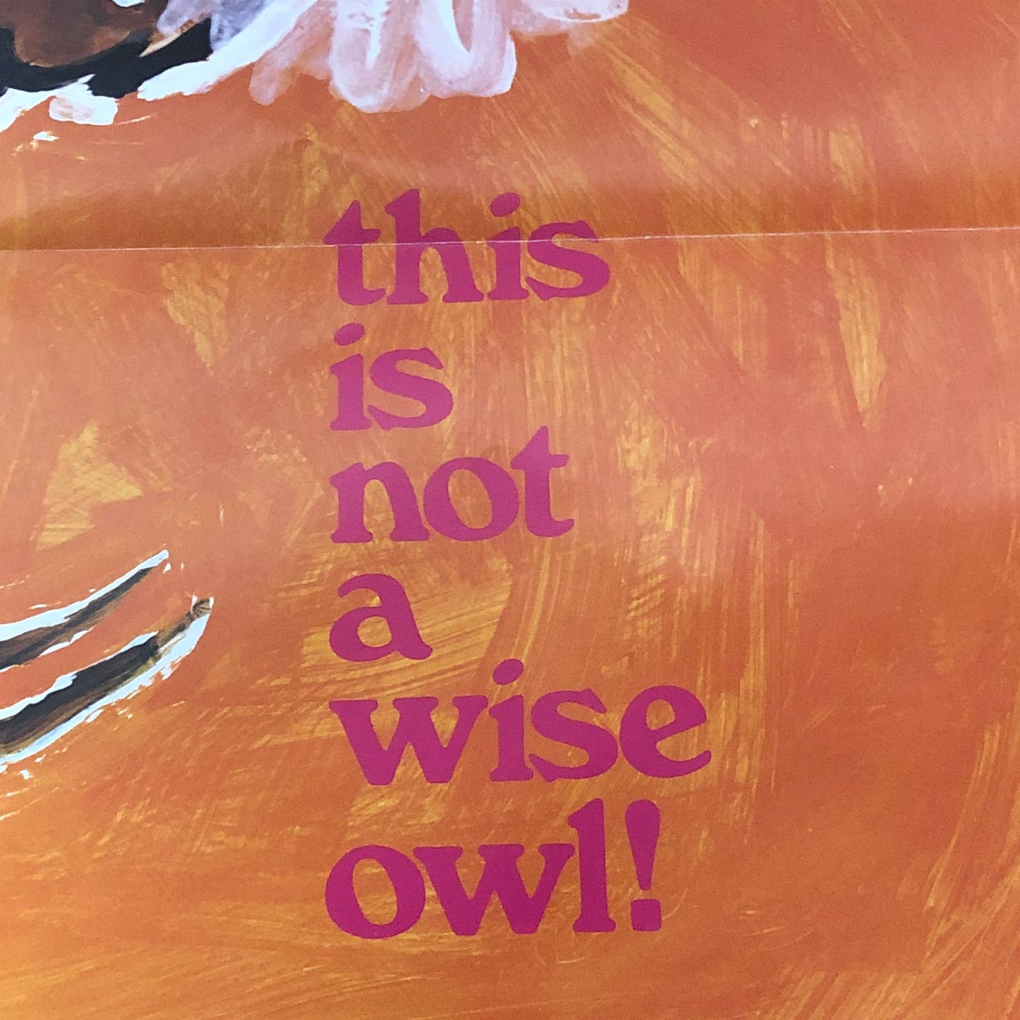 Rare 1970s Anti-Smoking School Poster This is Not a Wise Owl 21 x 16” AC9