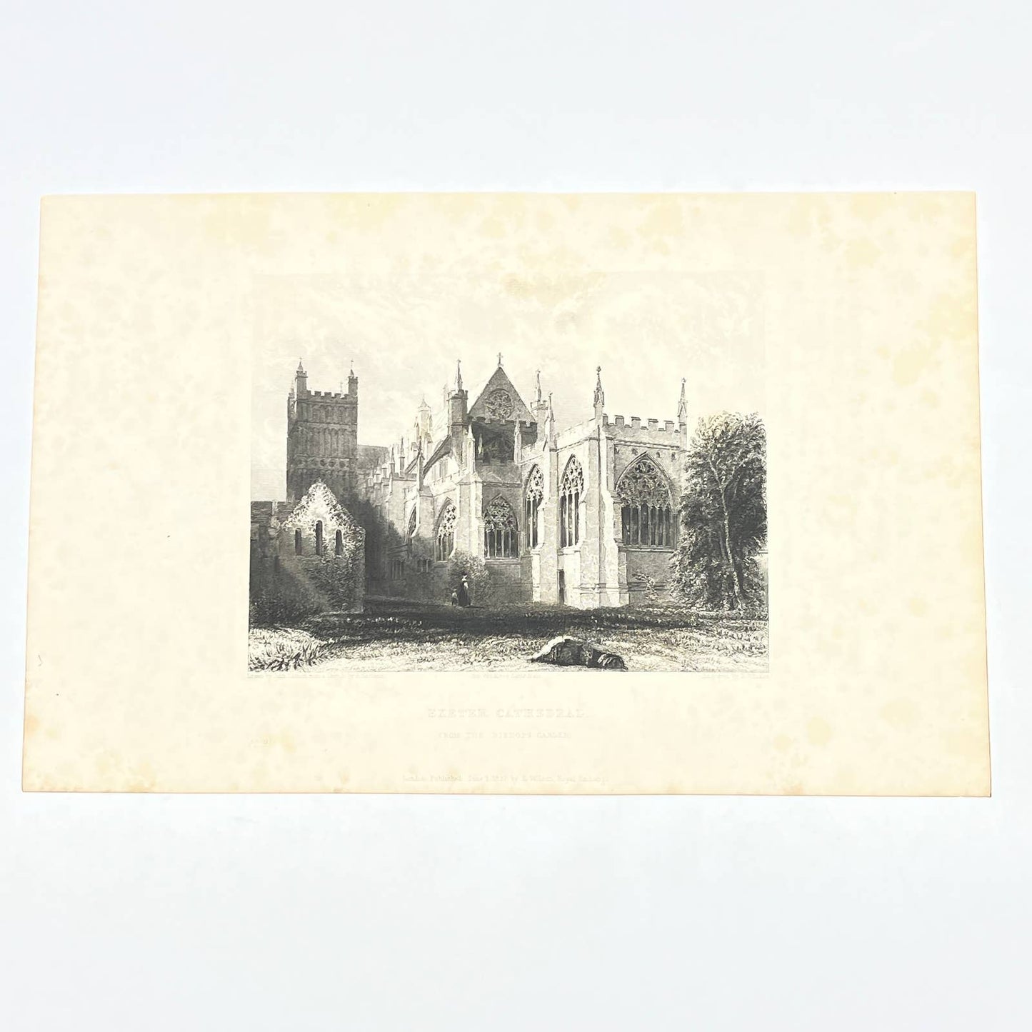 1836 Original Art Engraving Exeter Cathedral View from the Bishop's Garden AC4