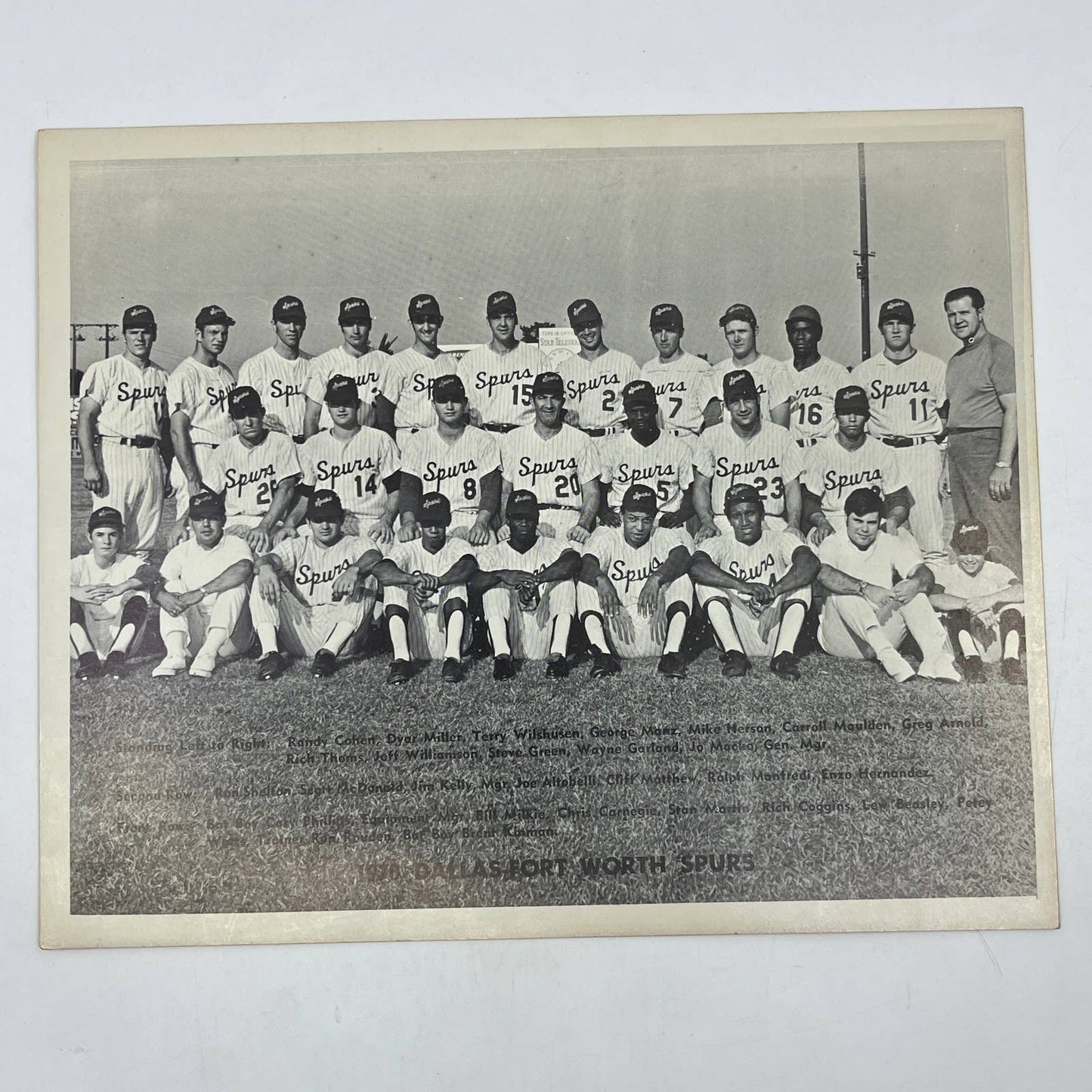 1970 Dallas Fort Worth Spurs Baseball Team Photo 8x10 AC2