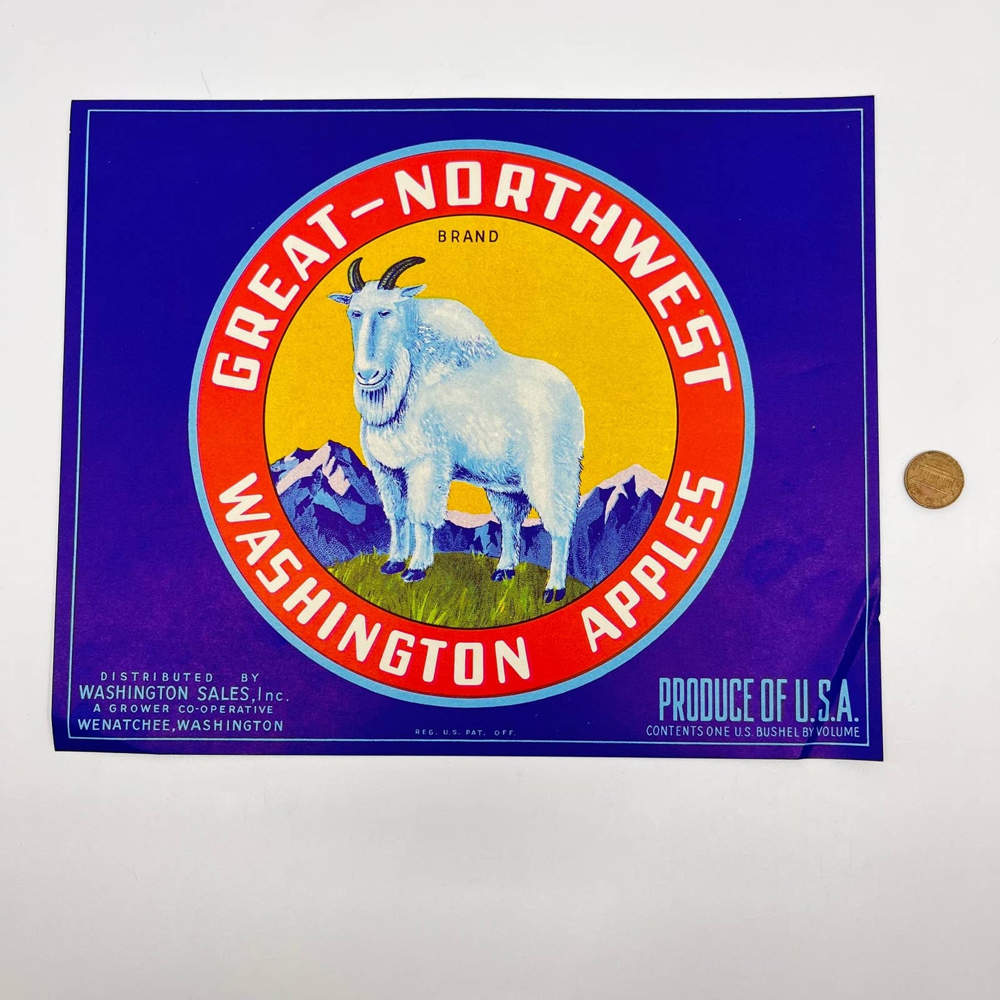 GREAT NORTHWEST Vintage Wenatchee Apple Crate Label Mountain Goat WA FL3