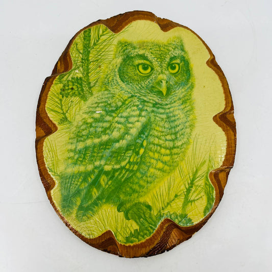 Vtg 1970s Owl Wood Wall Art Plaque Set Decoupage Retro 8 x 6.5” TC7