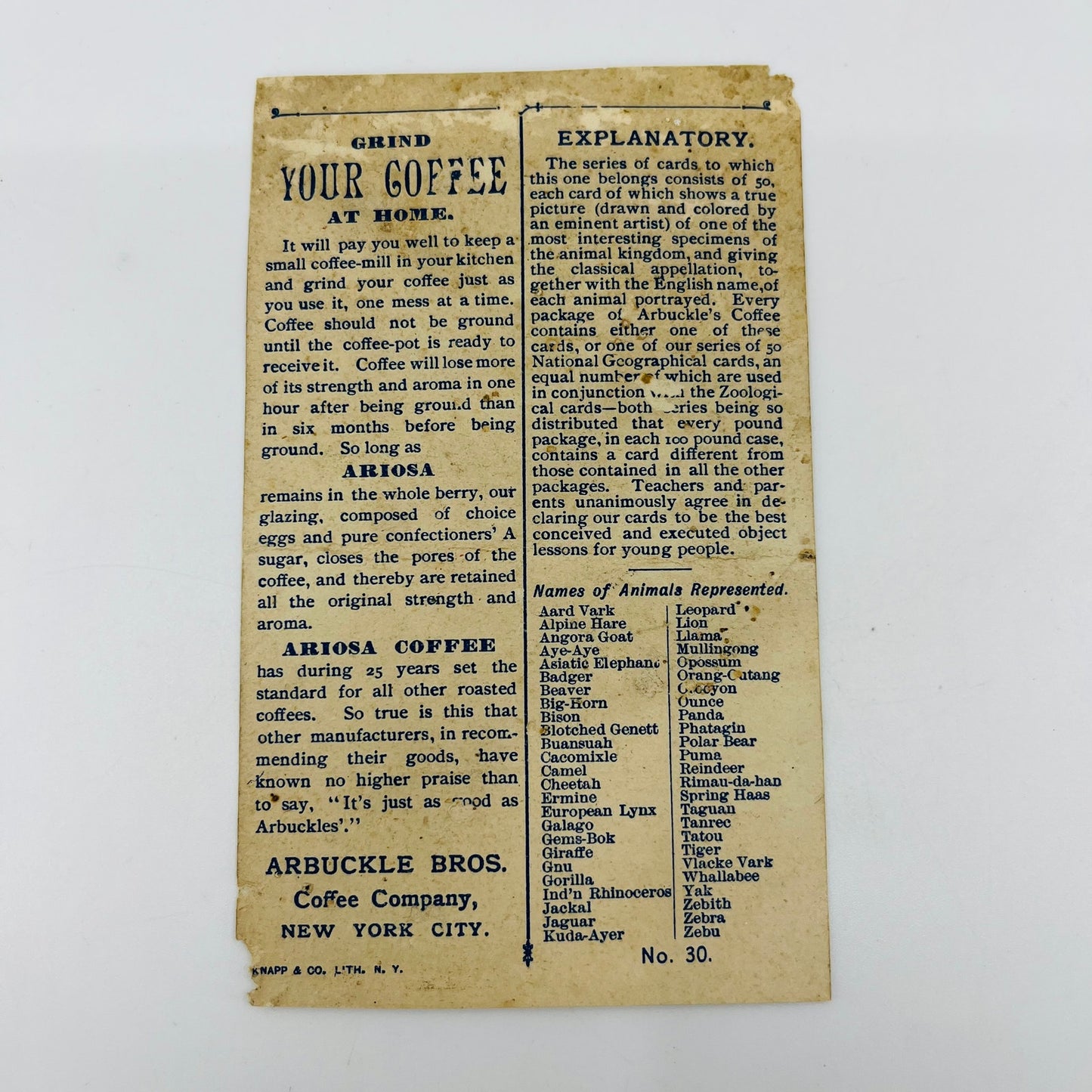 1890s Victorian Trade Card Arbuckle Coffee Ariosa NY Mullingong Platypus AH9-M10