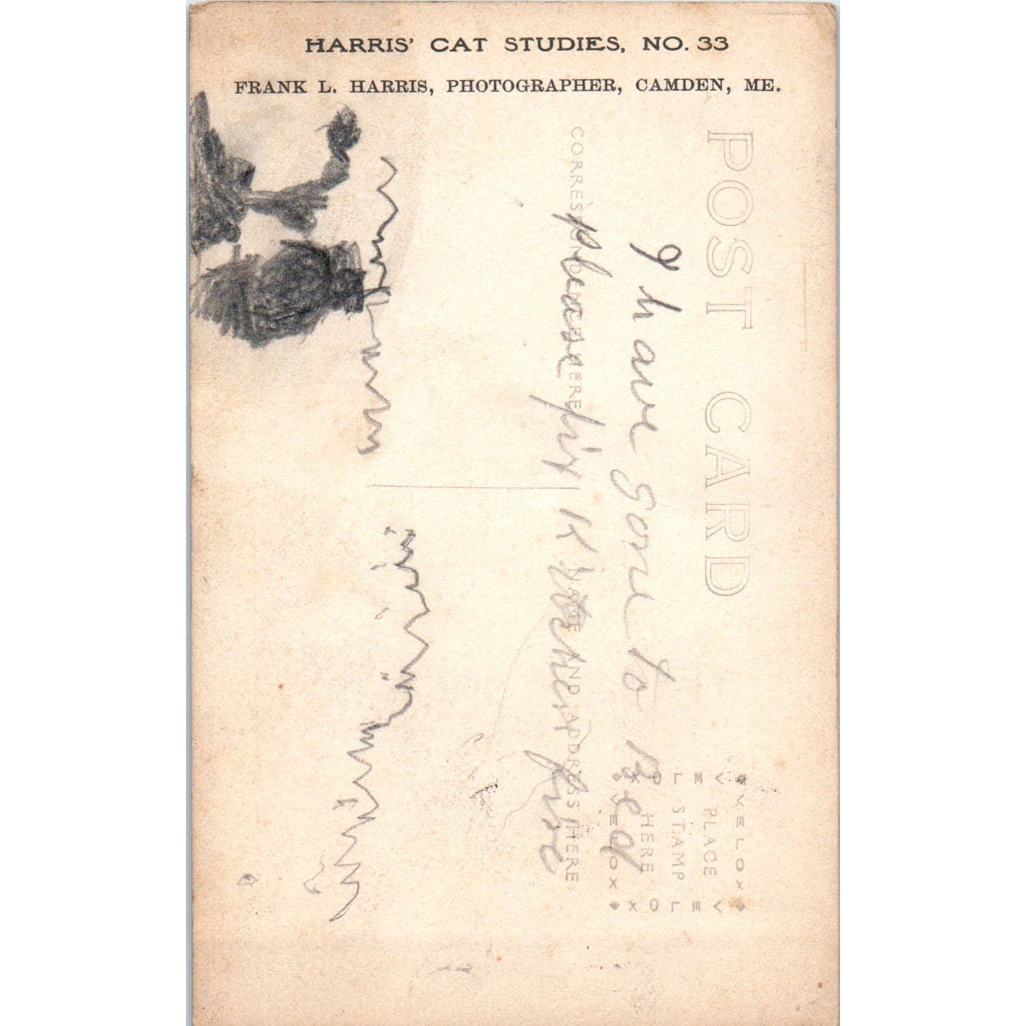 Tabby Cat Kitten Harris' Cat Studies No. 33 - Original RPPC Postcard TJ9-P1