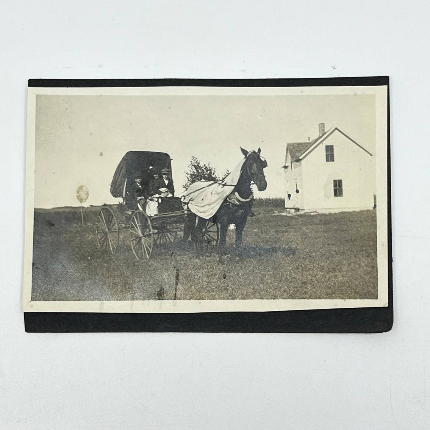 Early 1900s Horse Drawn Carriage Photograph SC9
