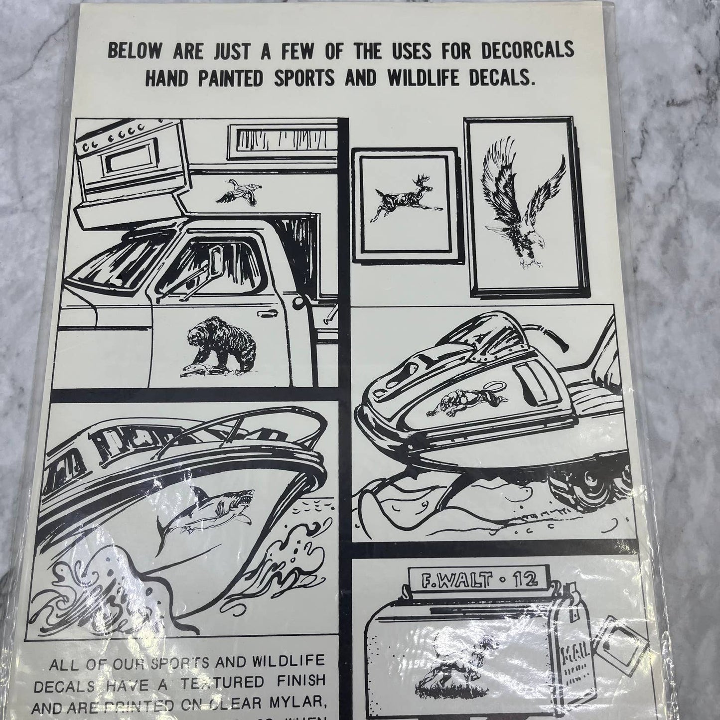 1981 NEW NOS Decorcal Sports & Wildlife Decal W-20 Ringneck Pheasant Hunting FL5