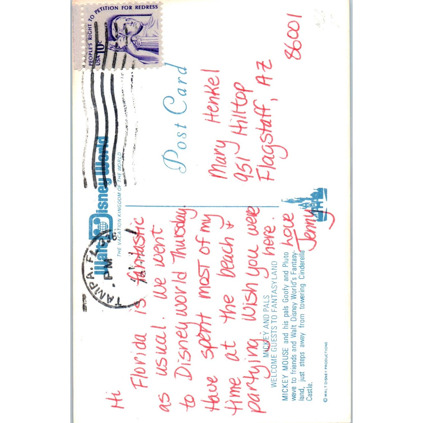 Mickey Mouse, Goofy and Pluto Walt Disney World Original Postcard TK1-P12