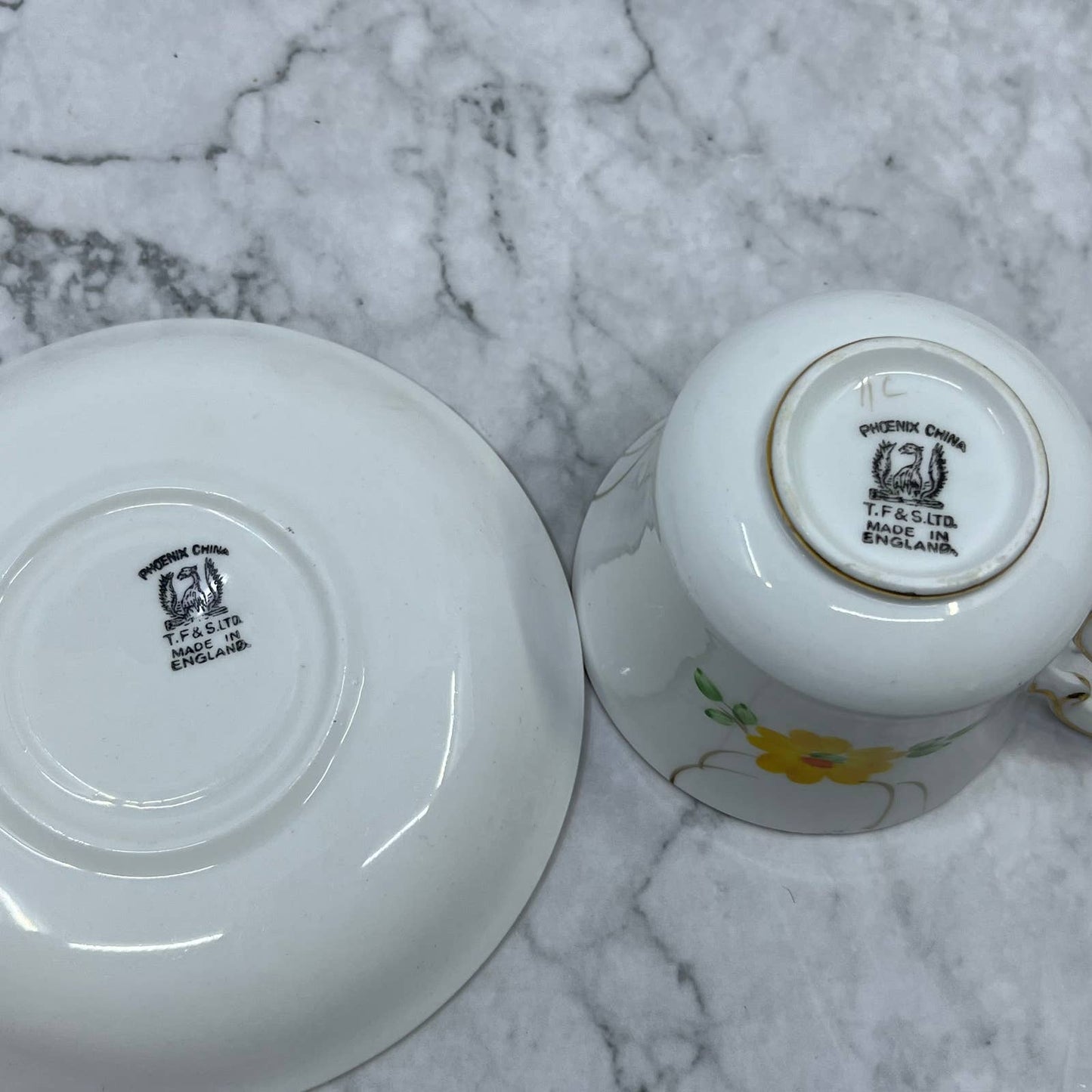 Cup & Saucer Hand Painted Floral Phoenix Bone China Thomas Forester & Sons TA7