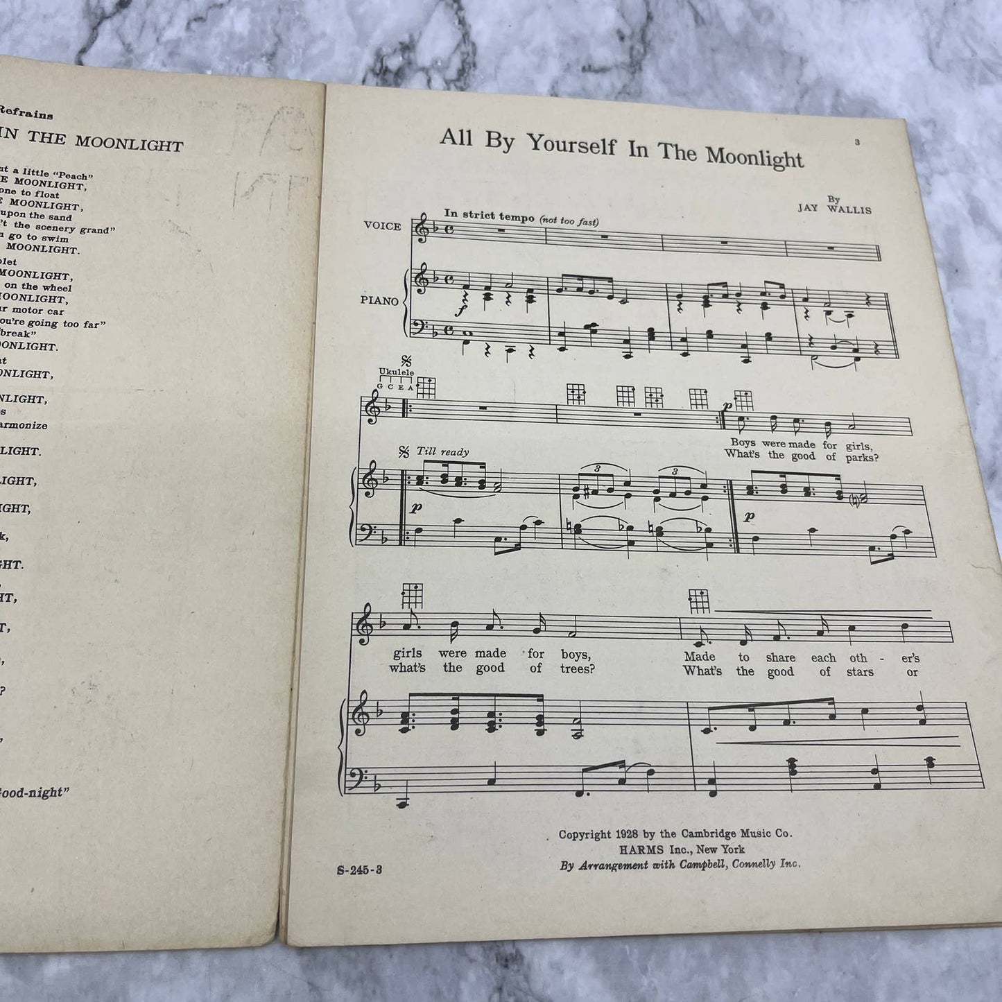 All By Yourself in the Moonlight Jay Wallis 1928 Sheet Music TK2-SM3