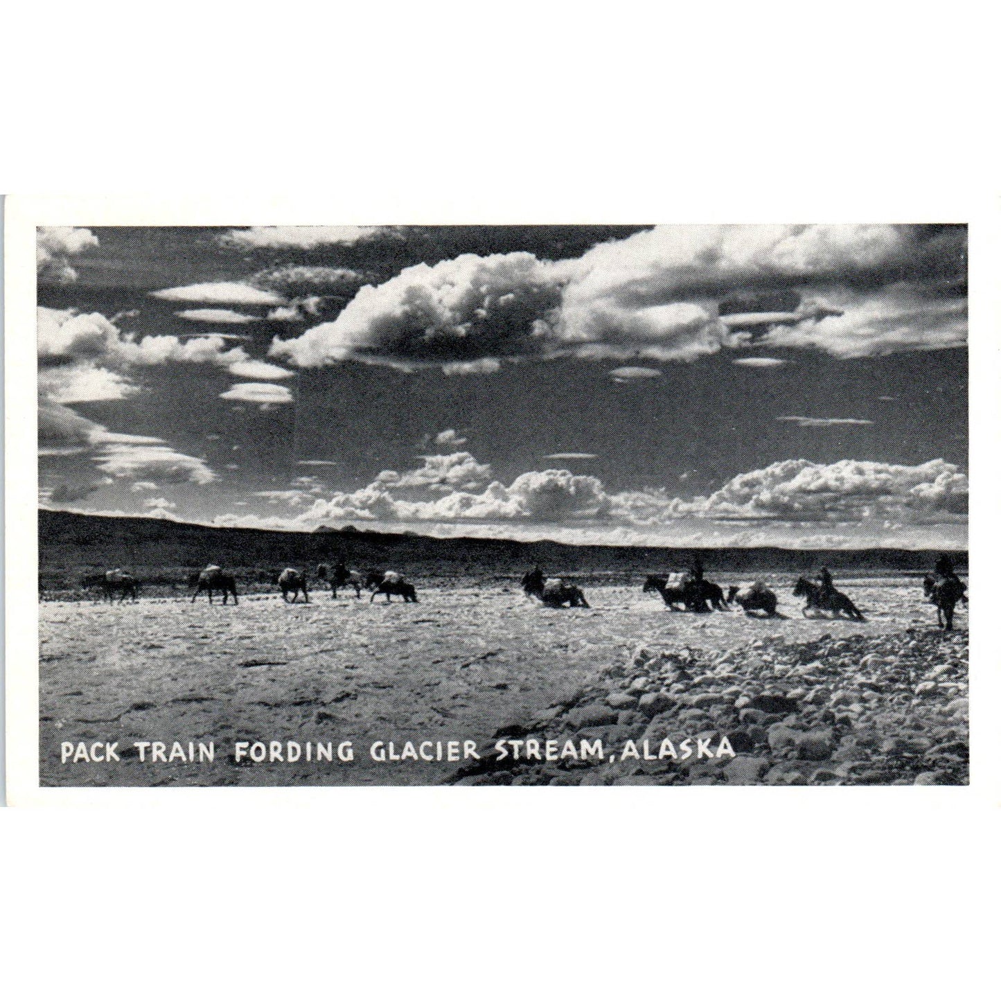 Pack Train Fording Glacier Stream RPPC Alaska Original Postcard TK1-30