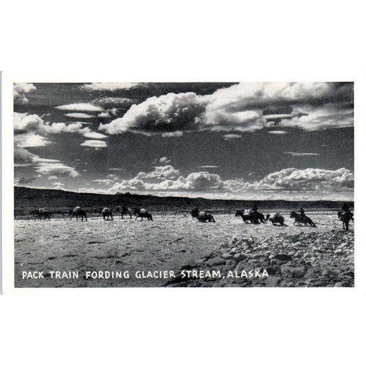 Pack Train Fording Glacier Stream RPPC Alaska Original Postcard TK1-30