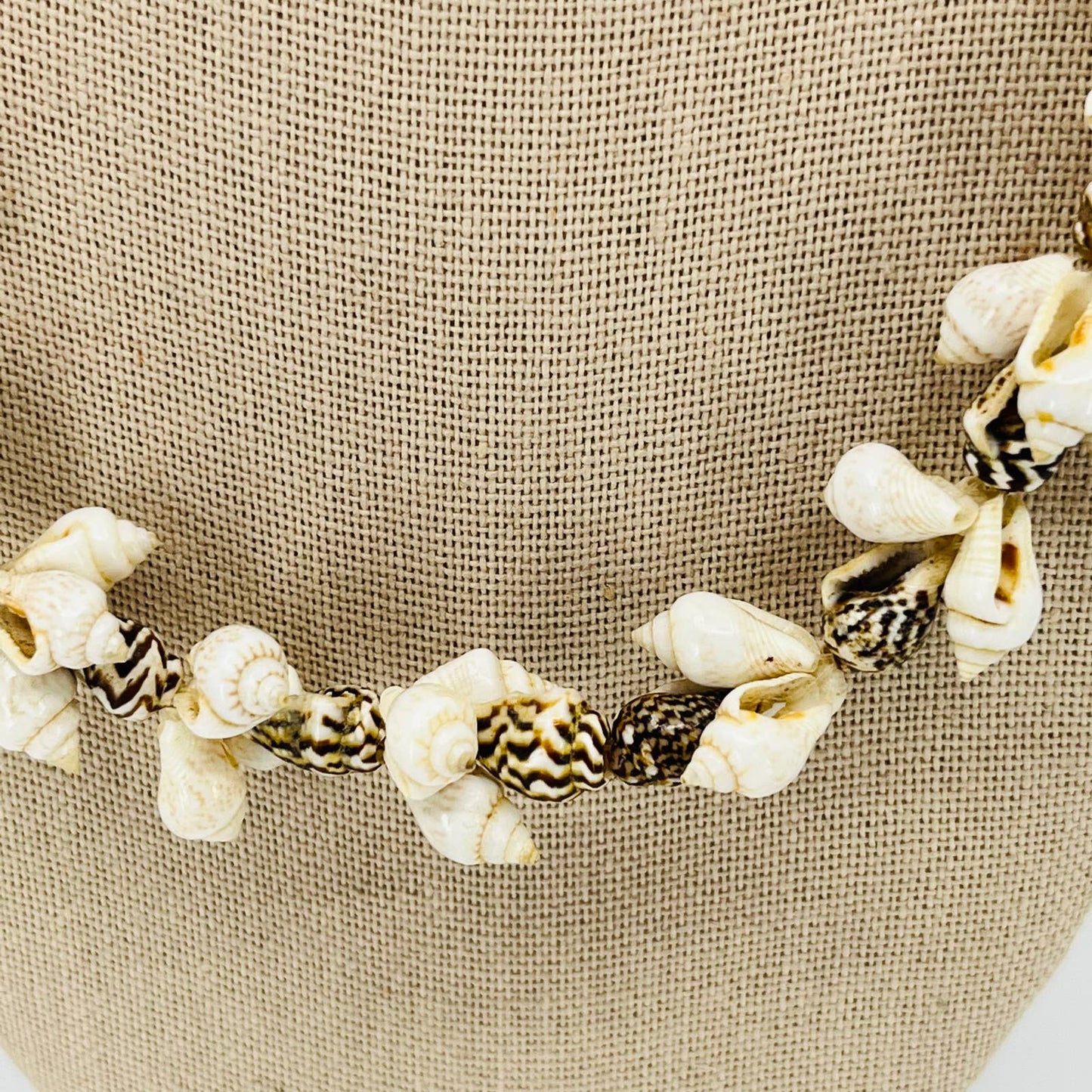 Vintage Boho Long Chunky Tiny Seashell Necklace SB2