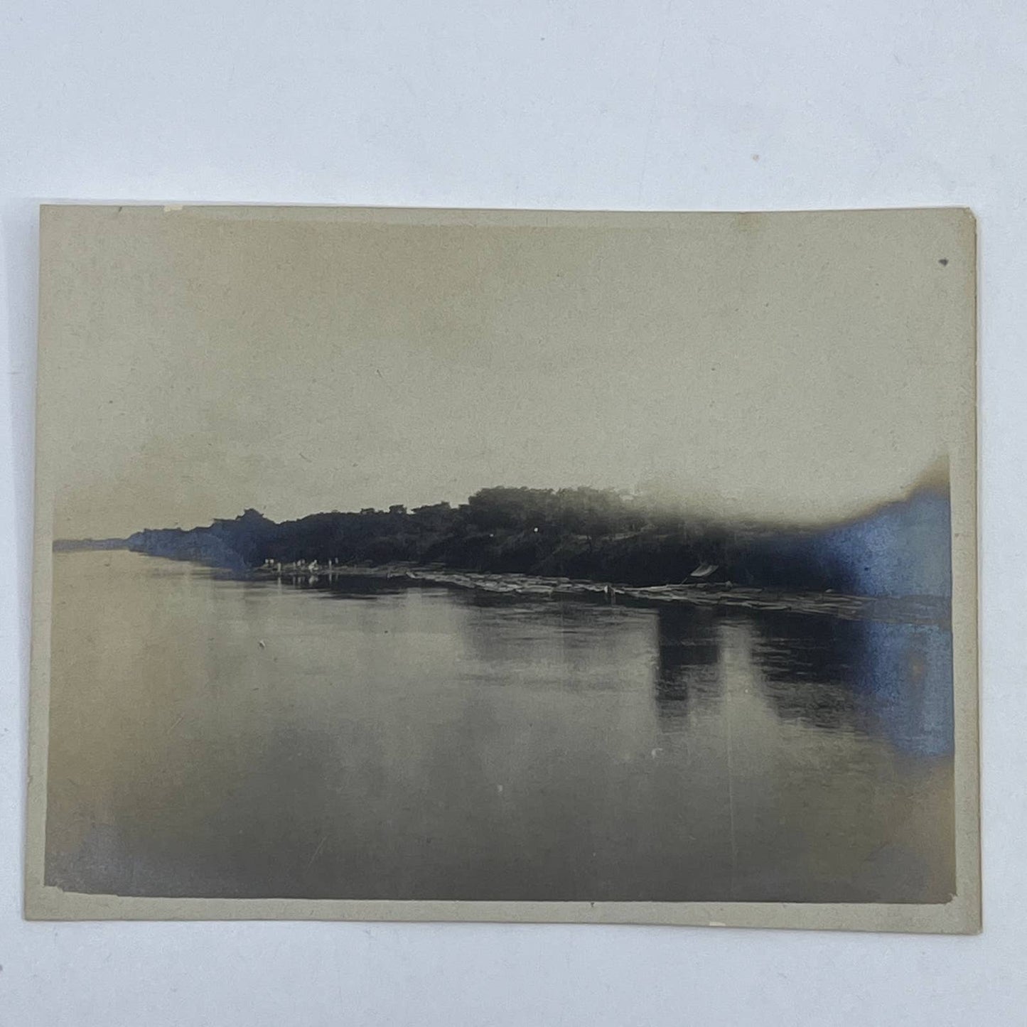 1903 Original Sepia Photograph Chaining Together Mahogany Logs Monte Cristo AC7