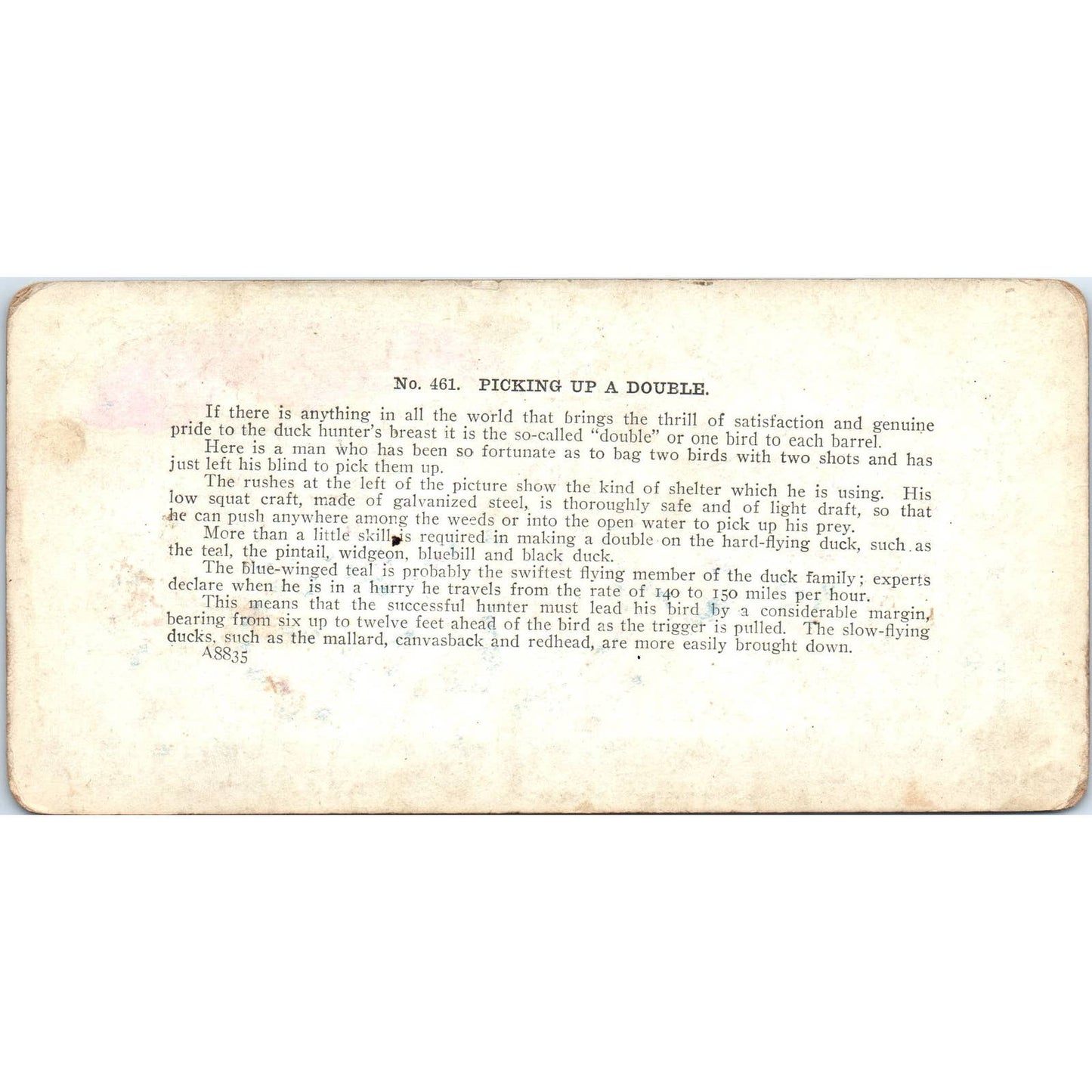 Victorian Duck Hunting "Picking up a Double" - Antique Stereoview Card TJ1-C1