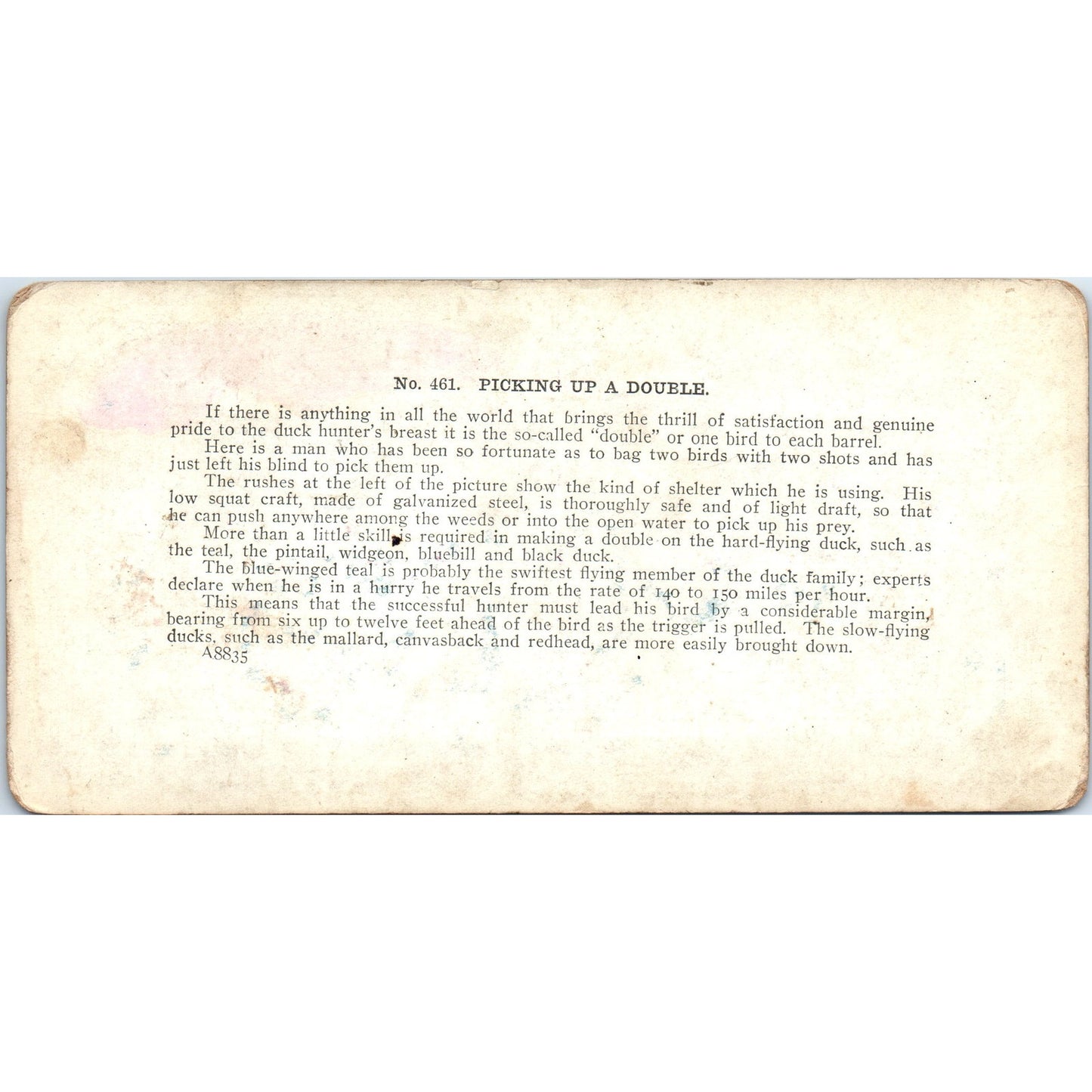 Victorian Duck Hunting "Picking up a Double" - Antique Stereoview Card H3-2