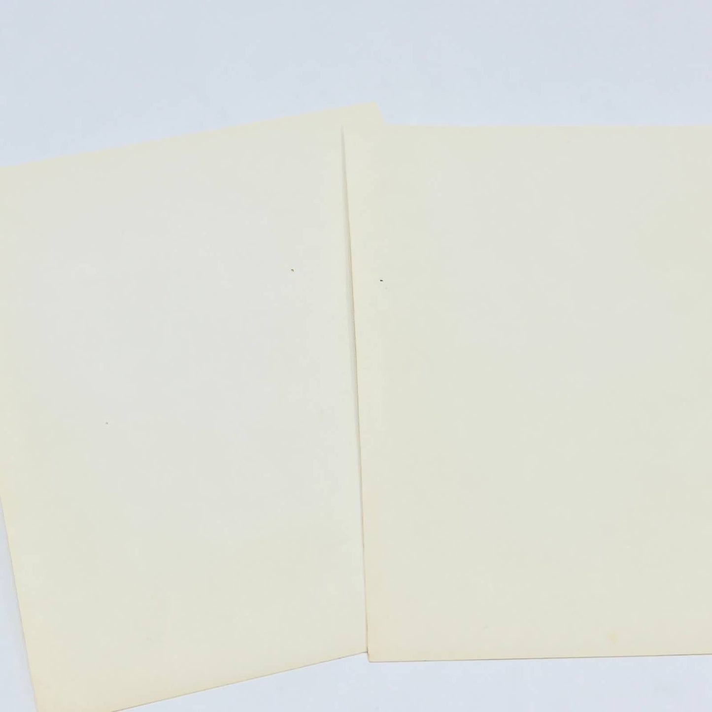 Antique Halloween Photo Man Dressed as Bootlegger Mountain Man Set of 2 AC2