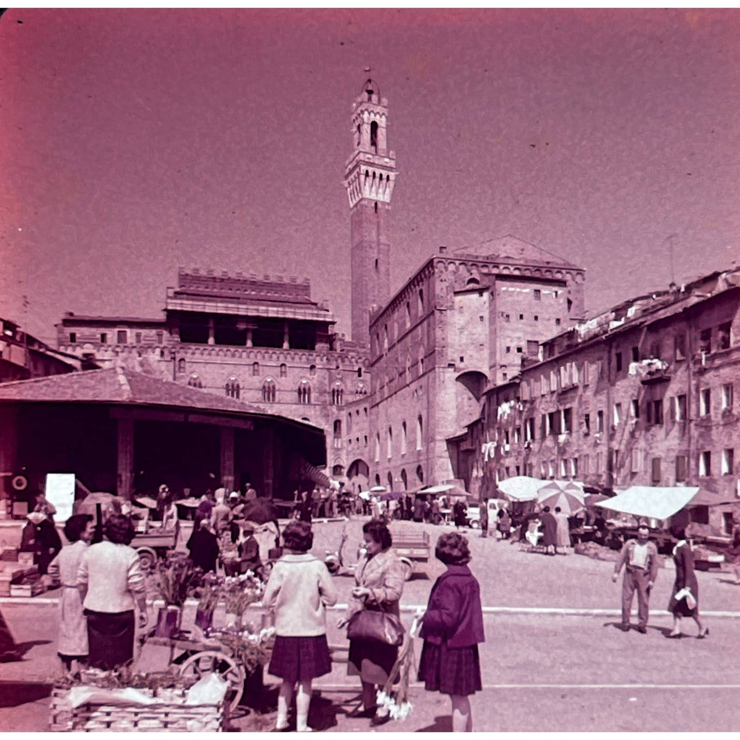 1960s Siena Italy Travel Slide Set of 3 2x2 Slides TK2-S4-8