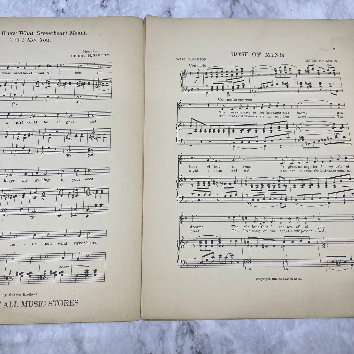 Rose of Mine ballad - WR & CH Garton - 1913 sheet music TJ4