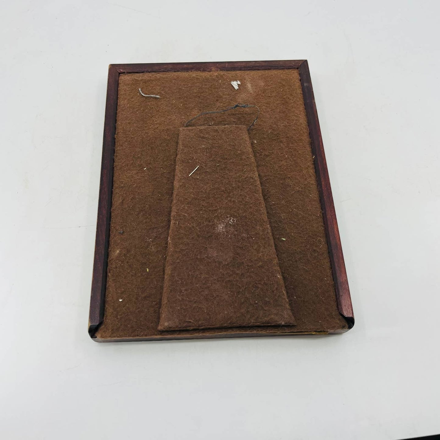 1880s Photograph Boy & Girl Siblings in Victorian House Ornate Carved Frame TC8