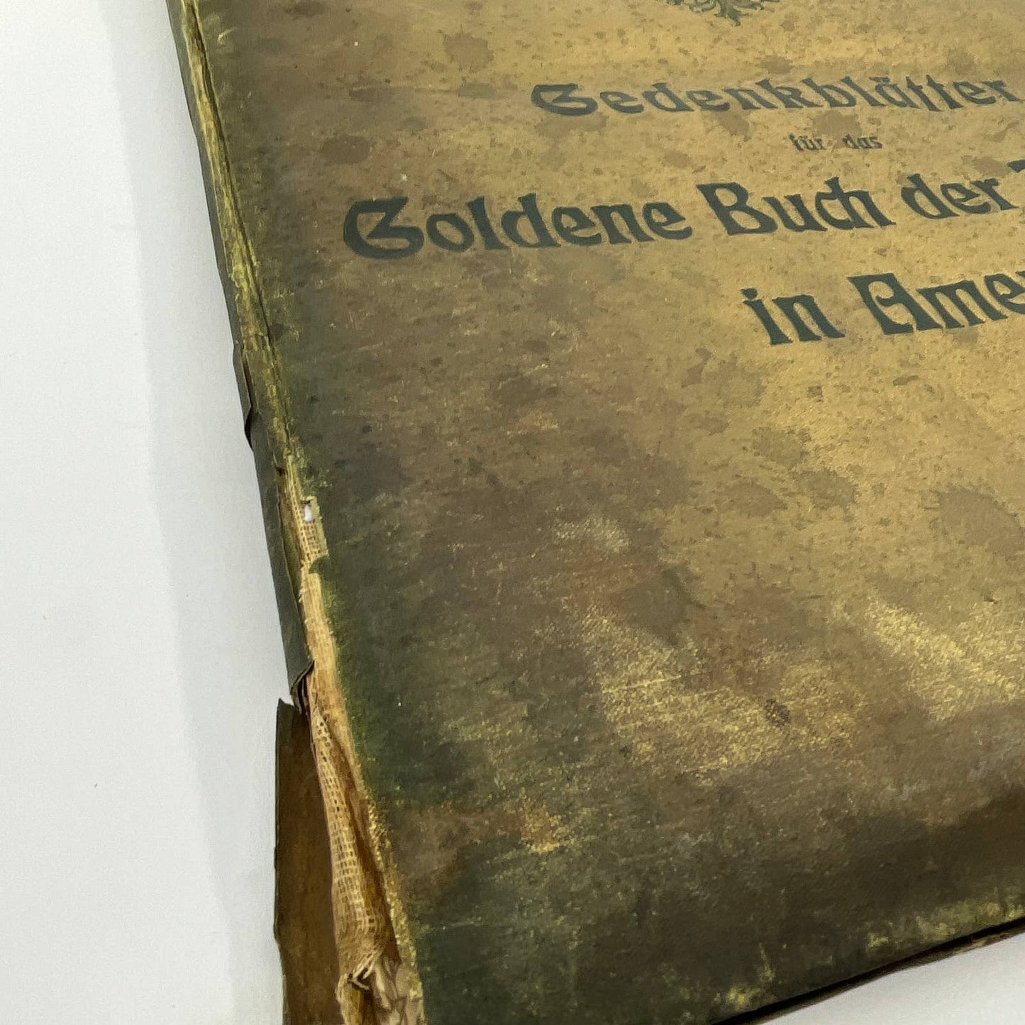 RARE 1904 St Louis World's Fair Exhibition Golden Book of Germans in America FL3
