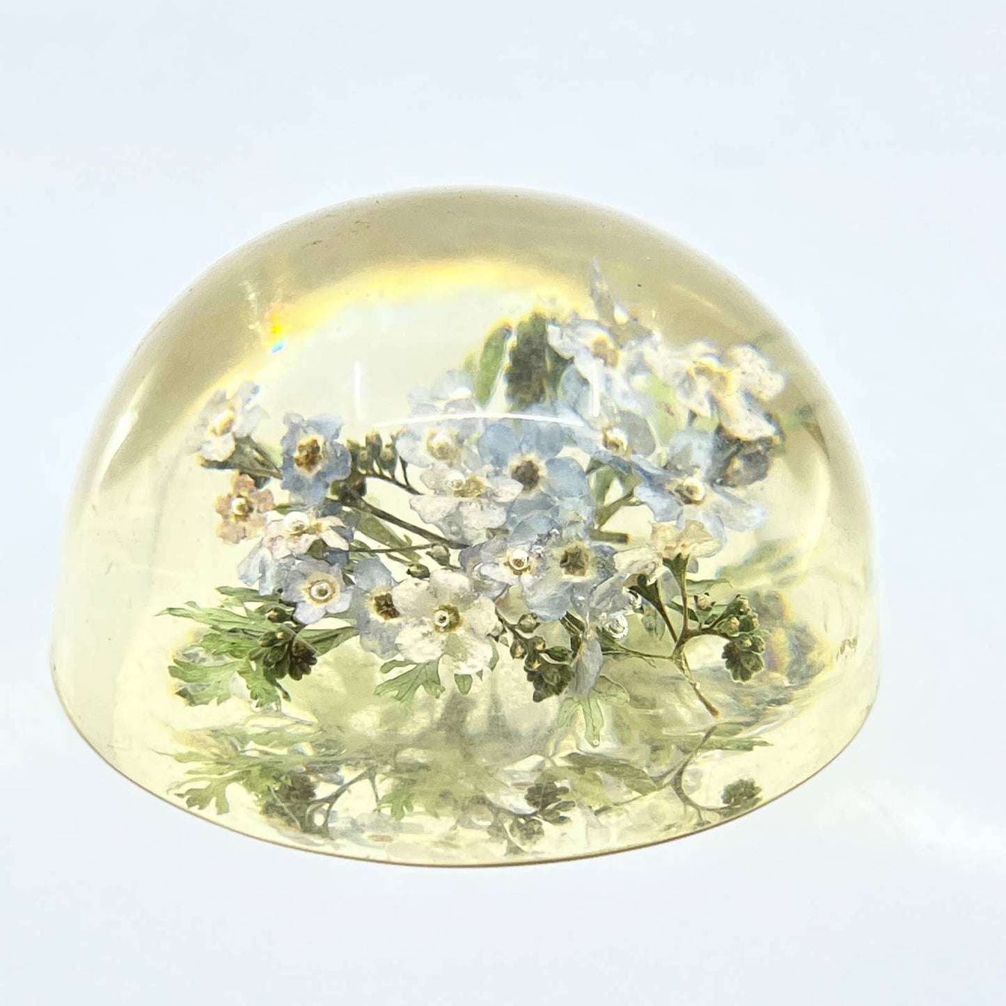 1960s Retro Kitsch Post Modern Lucite Paperweight Wild Flowers TC7