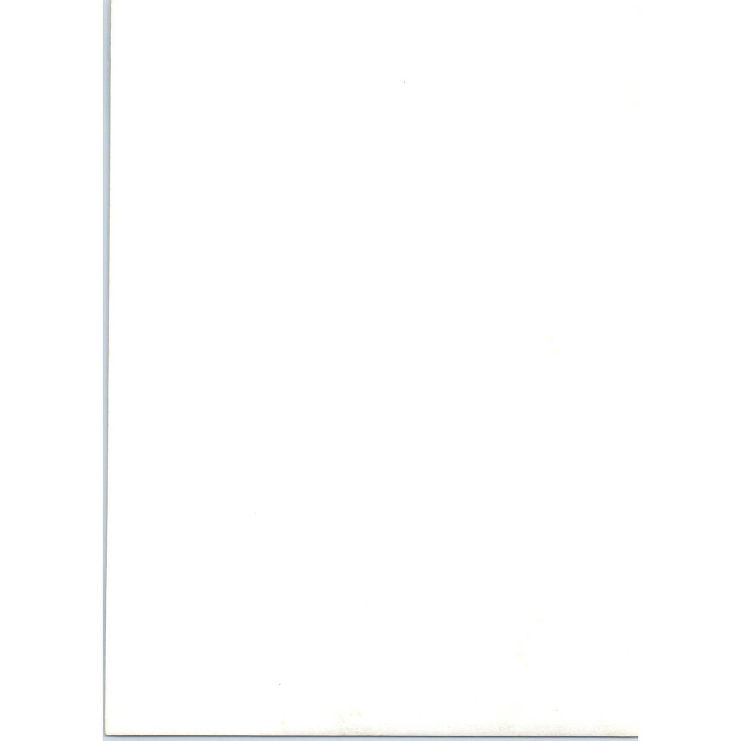 c1970 Original Photograph of a Carved Bulldog 5x7 AD6