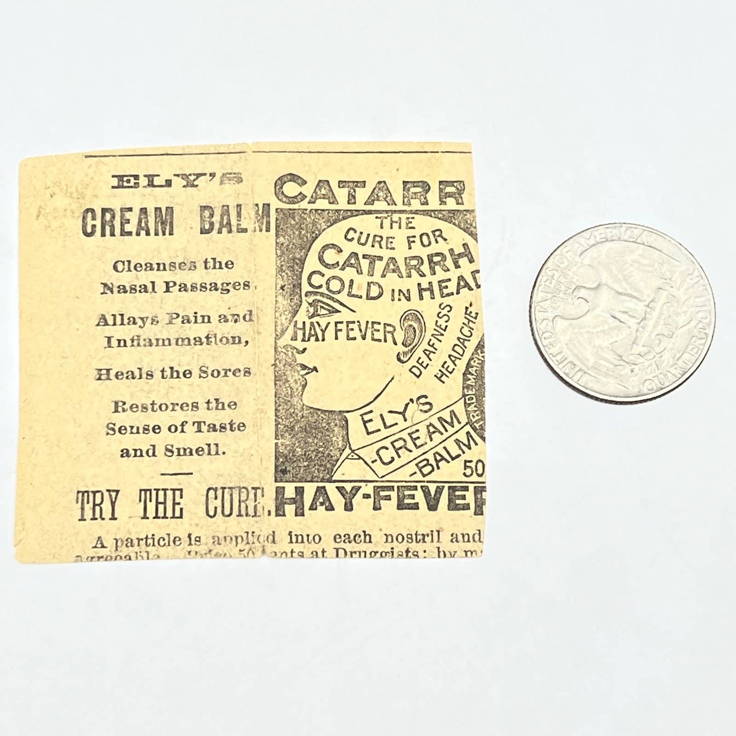 1800s Newspaper Ad Clip Ely's Cream Balm Catarrh Cure Dr. Brown-Sequard AC2