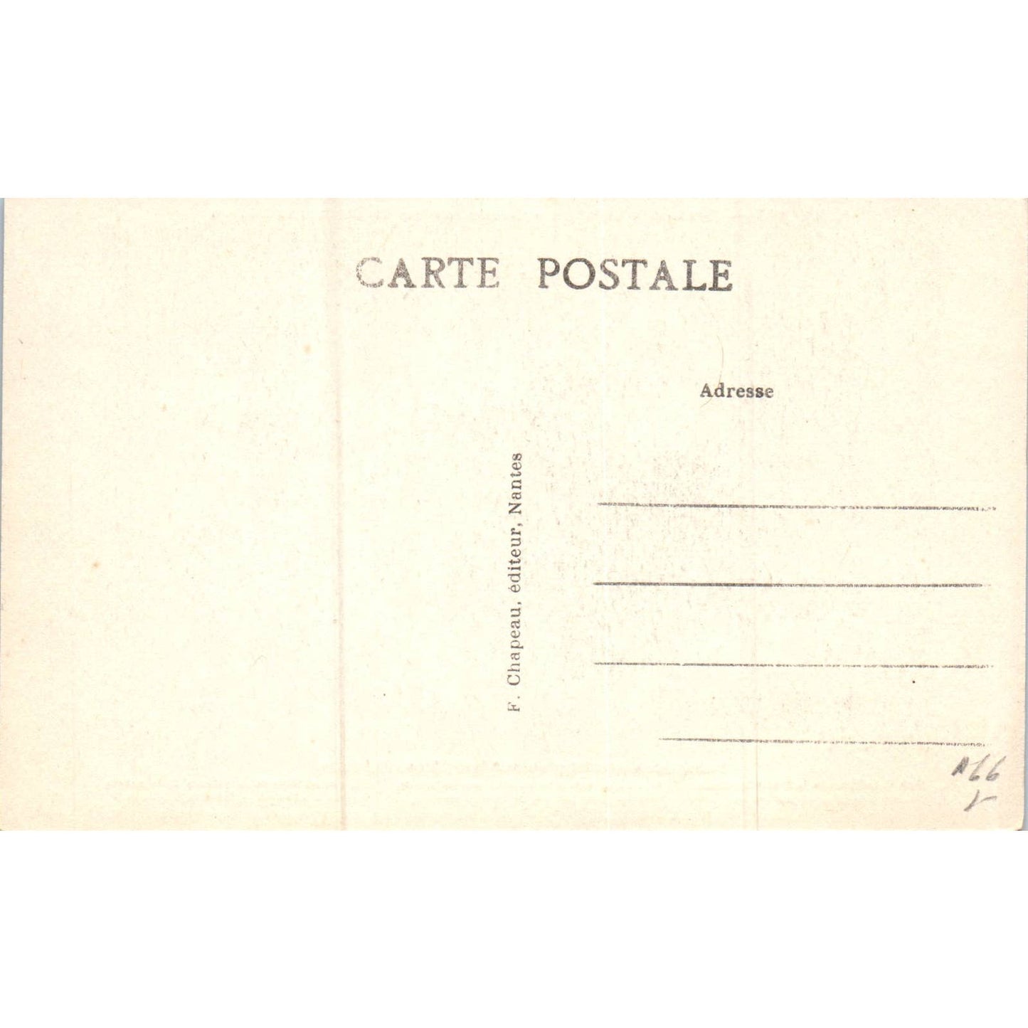 S.Nantes Musée des Salorges Côtes d'Afrique Original Postcard TK1-P20