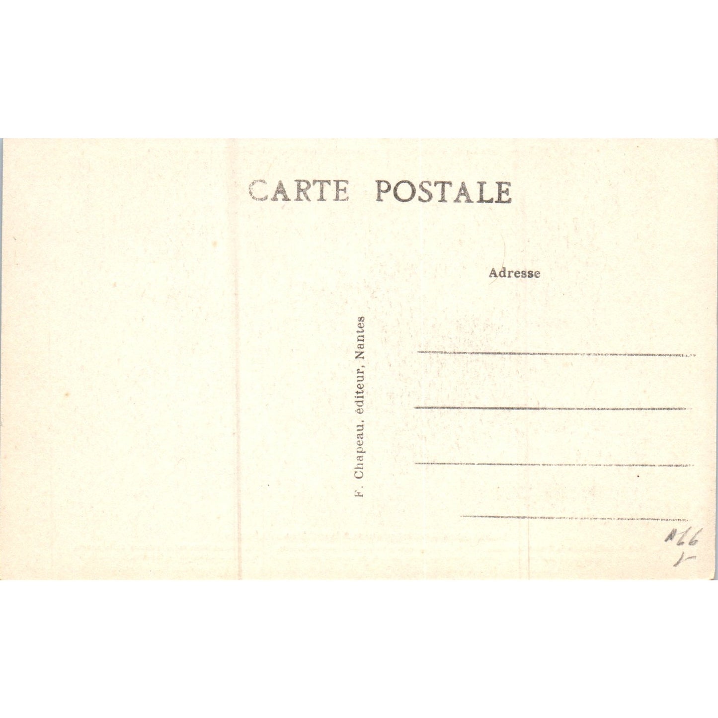 S.Nantes Musée des Salorges Côtes d'Afrique Original Postcard P1-15