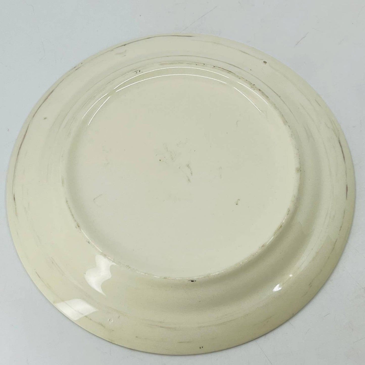 Vintage Hand Painted Ceramic Porcelain Florida Souvenir Plate 6” TC6