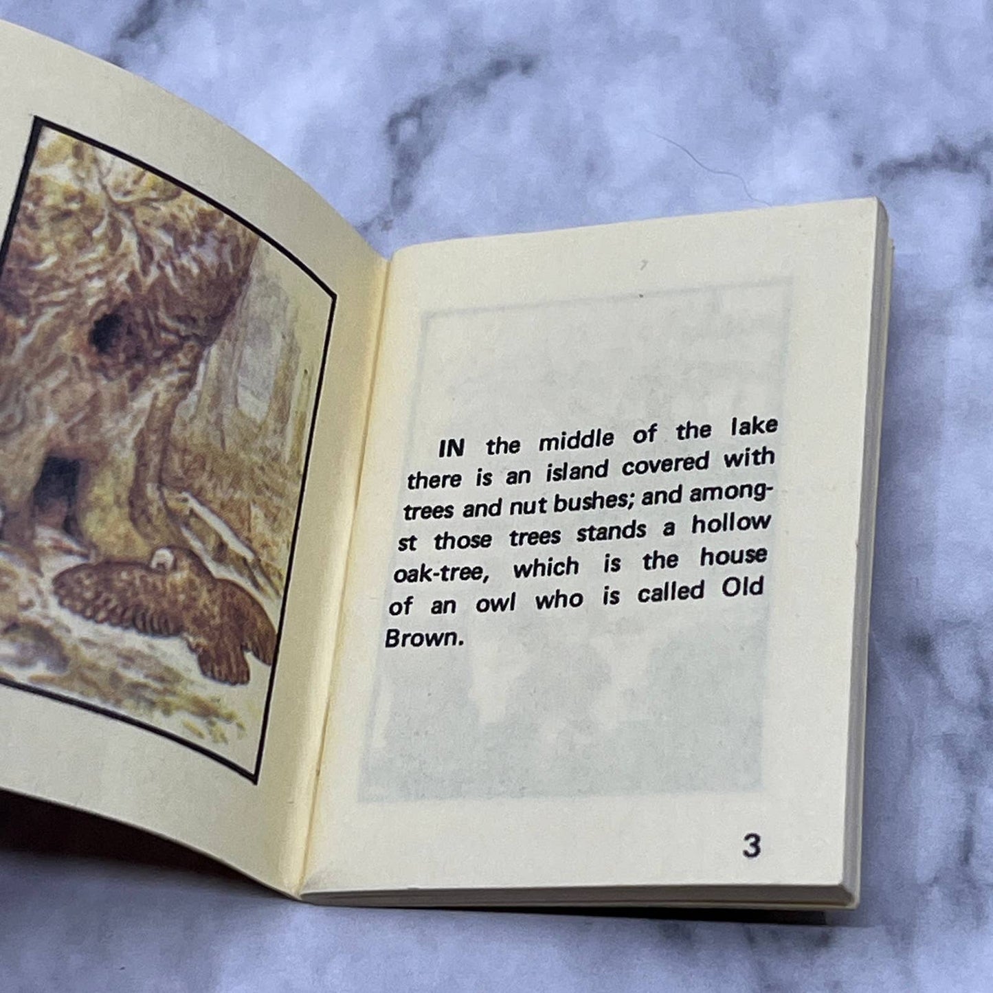 Beatrix Potter Miniature Tiny Book Tale of Squirrel Nutkin Dollhouse Size SA2