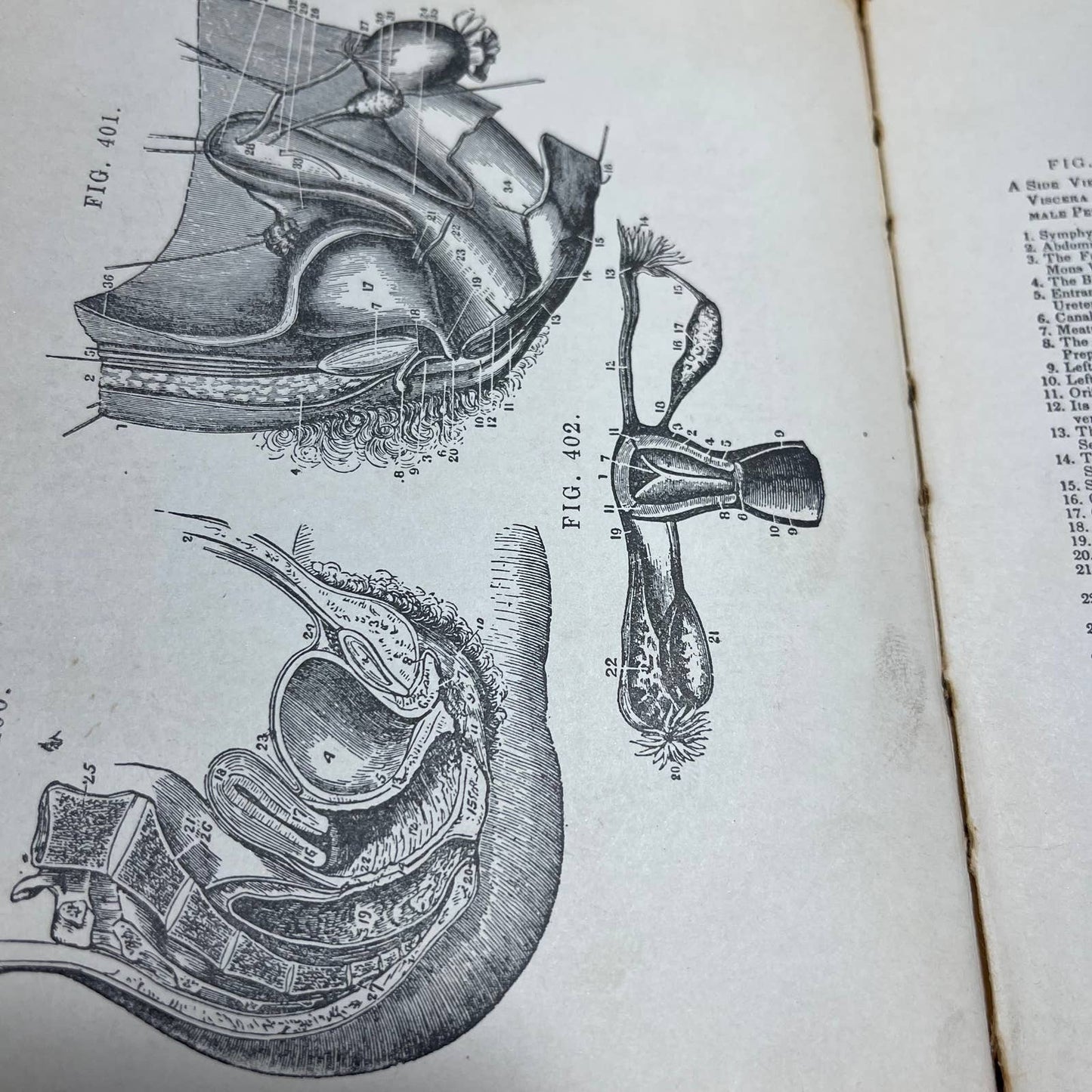 Eugenics The Laws of Sex Life and Heredity By Dr. W.J. Truitt 1916 TH8