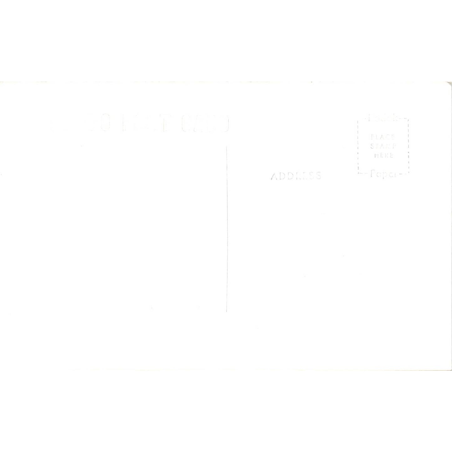 Airplane and Team of Sled Dogs in Alaska RPPC Original Postcard TK1-30