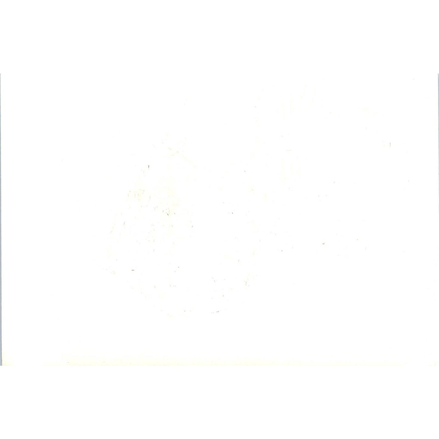 Suckich Nimmanheminda Thai Ambassador at Kiwanis 1967 Original Photo 5x7 TK1-P4