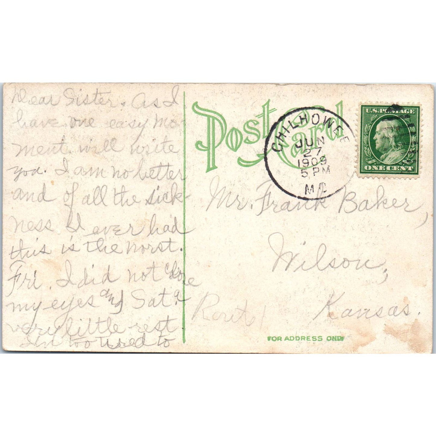 Vintage Dog Smooth Haired Fox Terrier Puppies c1910 Original Postcard TK1-27