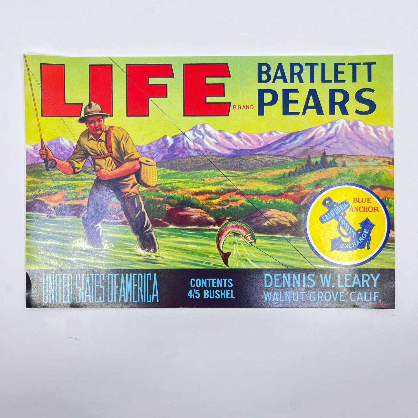 LIFE Bartlett Pears Dennis W. Leary Walnut Grove Calif. Original Crate Label FL3