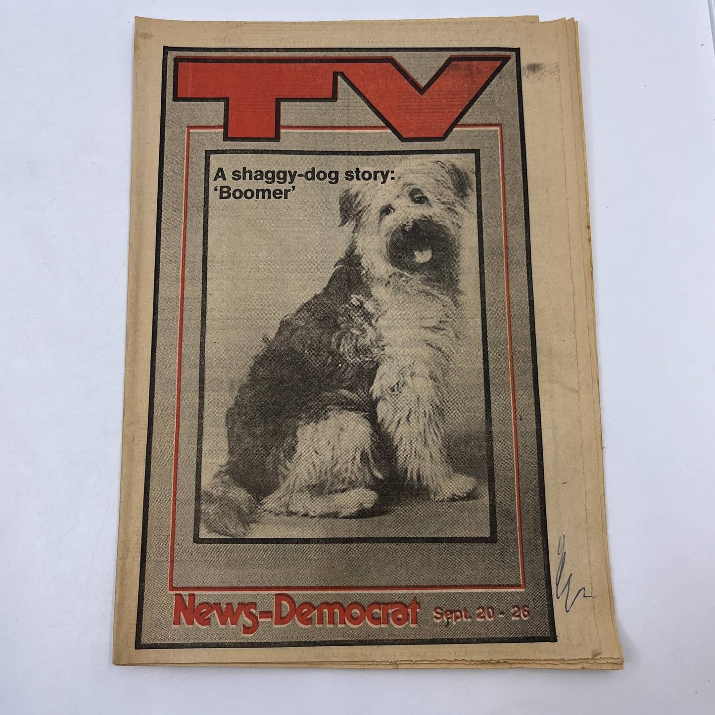 1981 Sept 20 Bellville IL News-Democrat TV Listings Shaggy Dog Boomer TG6