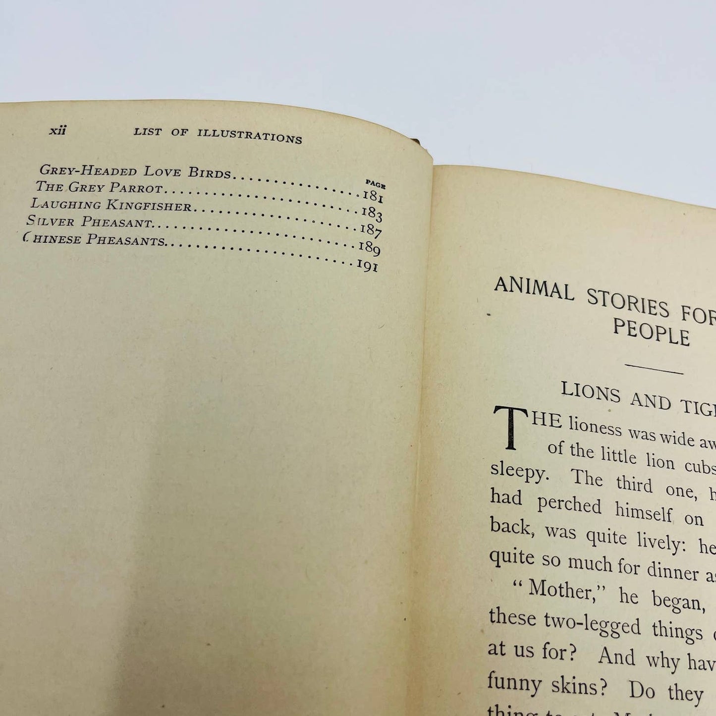 1902 Animal Stories for Little People - Children’s Book 70 Illustrations TD5
