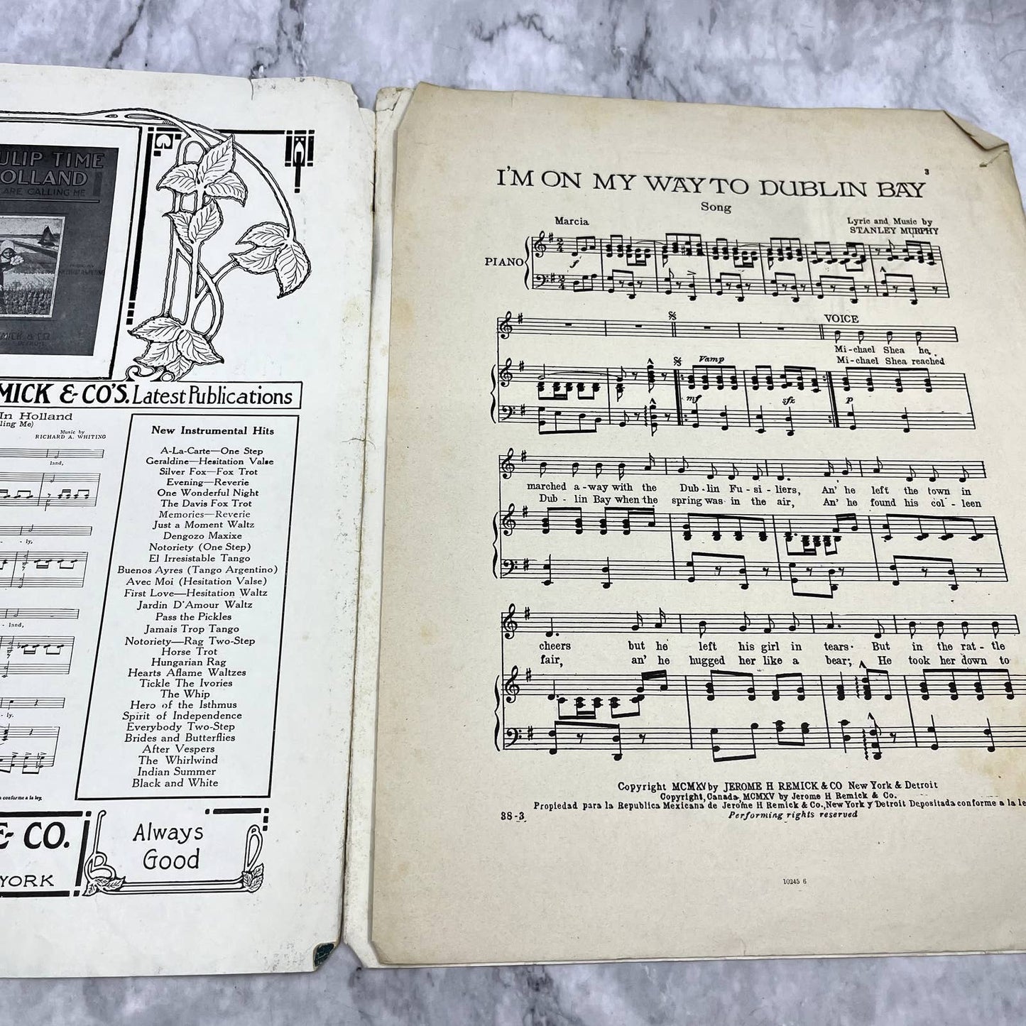 I'm On My Way to Dublin Bay Stanley Murphy 1915 Sheet Music TK2-SM2